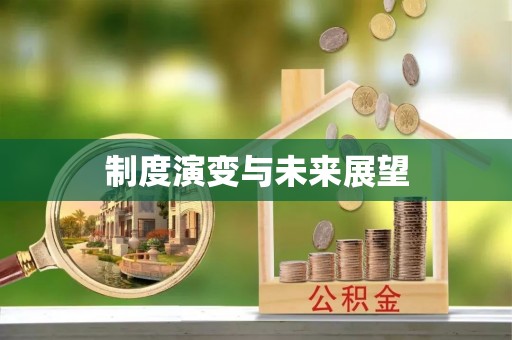 泰和制度演变与未来展望