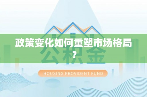 泰和政策变化如何重塑市场格局？