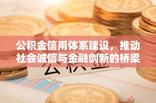 泰和公积金信用体系建设，推动社会诚信与金融创新的桥梁