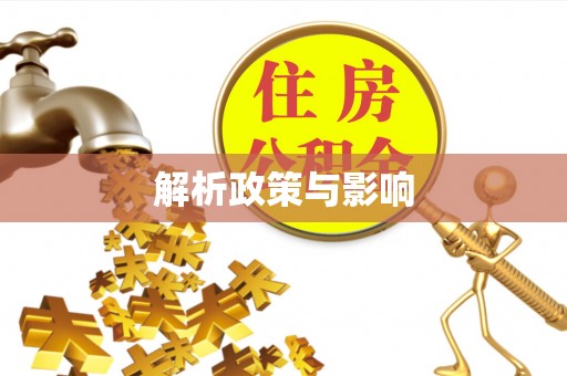 泰和解析政策与影响