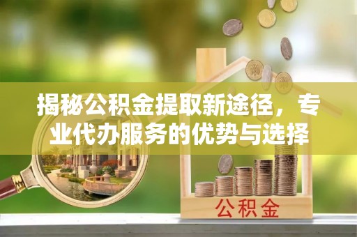 泰和揭秘公积金提取新途径，专业代办服务的优势与选择