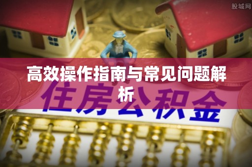泰和高效操作指南与常见问题解析