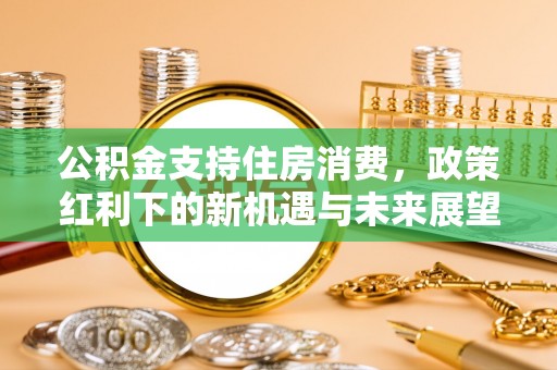 泰和公积金支持住房消费，政策红利下的新机遇与未来展望