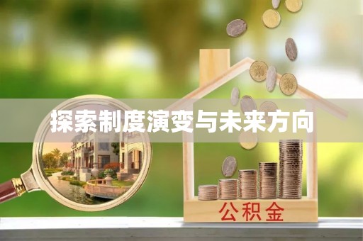 泰和探索制度演变与未来方向