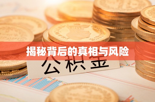 泰和揭秘背后的真相与风险