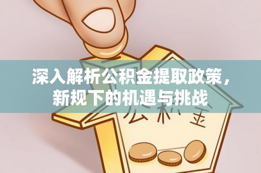 泰和深入解析公积金提取政策，新规下的机遇与挑战