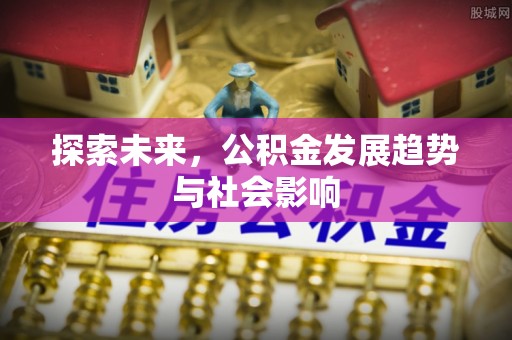 泰和探索未来，公积金发展趋势与社会影响