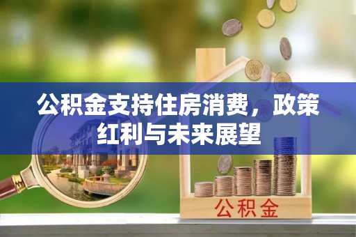 泰和公积金支持住房消费，政策红利与未来展望