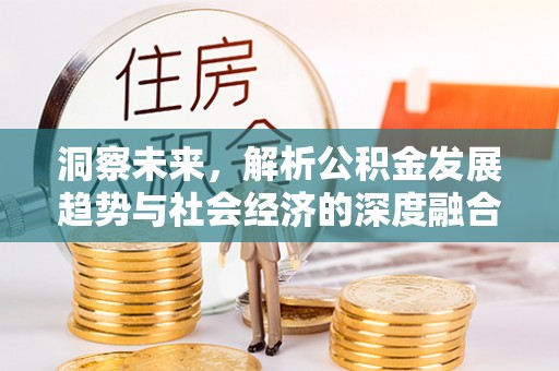 泰和洞察未来，解析公积金发展趋势与社会经济的深度融合