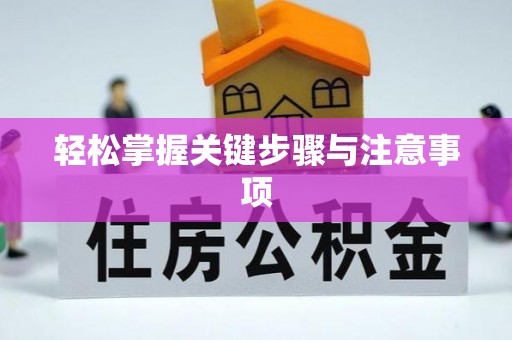 泰和轻松掌握关键步骤与注意事项