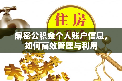 泰和解密公积金个人账户信息，如何高效管理与利用