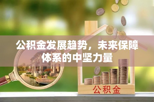 泰和公积金发展趋势，未来保障体系的中坚力量