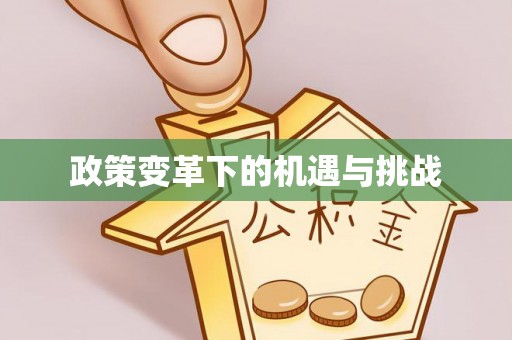 泰和政策变革下的机遇与挑战