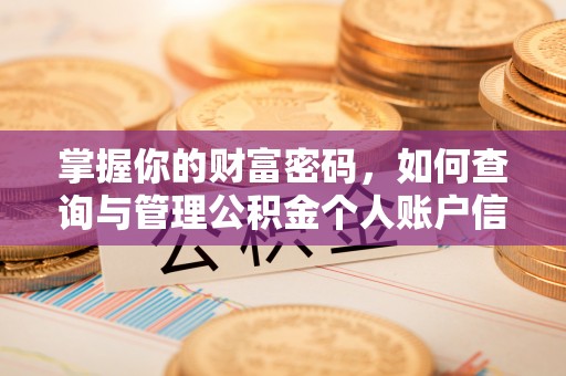 泰和掌握你的财富密码，如何查询与管理公积金个人账户信息