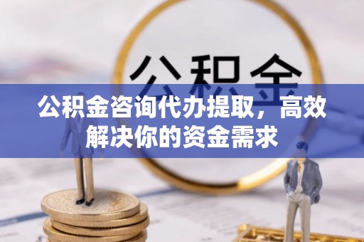 泰和公积金咨询代办提取，高效解决你的资金需求