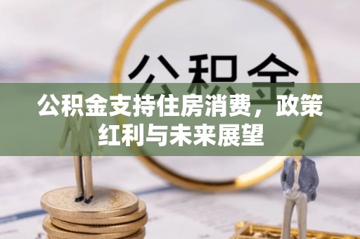 泰和公积金支持住房消费，政策红利与未来展望