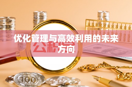 泰和优化管理与高效利用的未来方向