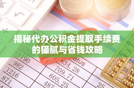 泰和揭秘代办公积金提取手续费的猫腻与省钱攻略