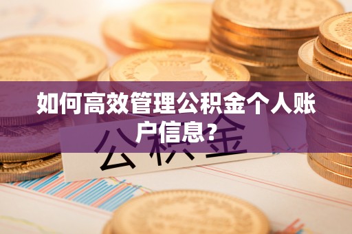 泰和如何高效管理公积金个人账户信息？