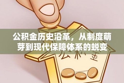 泰和公积金历史沿革，从制度萌芽到现代保障体系的蜕变