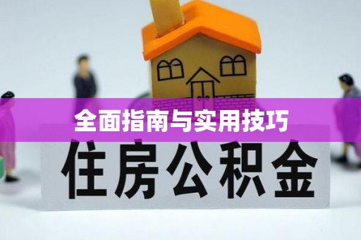 泰和全面指南与实用技巧