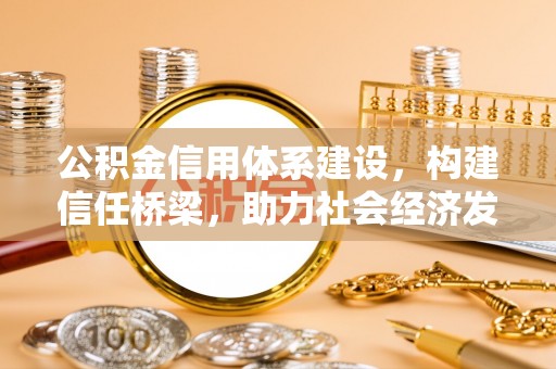 泰和公积金信用体系建设，构建信任桥梁，助力社会经济发展