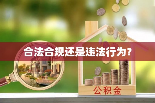 泰和合法合规还是违法行为？