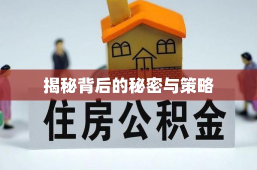 泰和揭秘背后的秘密与策略