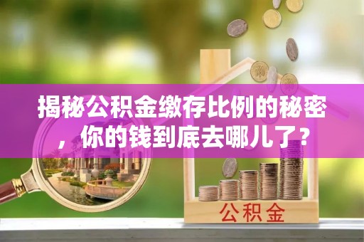泰和揭秘公积金缴存比例的秘密，你的钱到底去哪儿了？