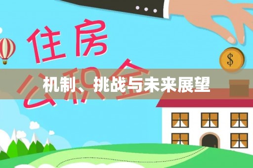 泰和机制、挑战与未来展望